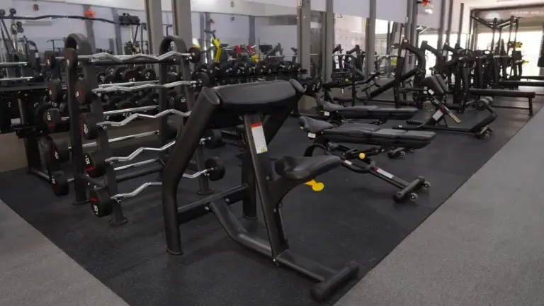 Free-weight Section